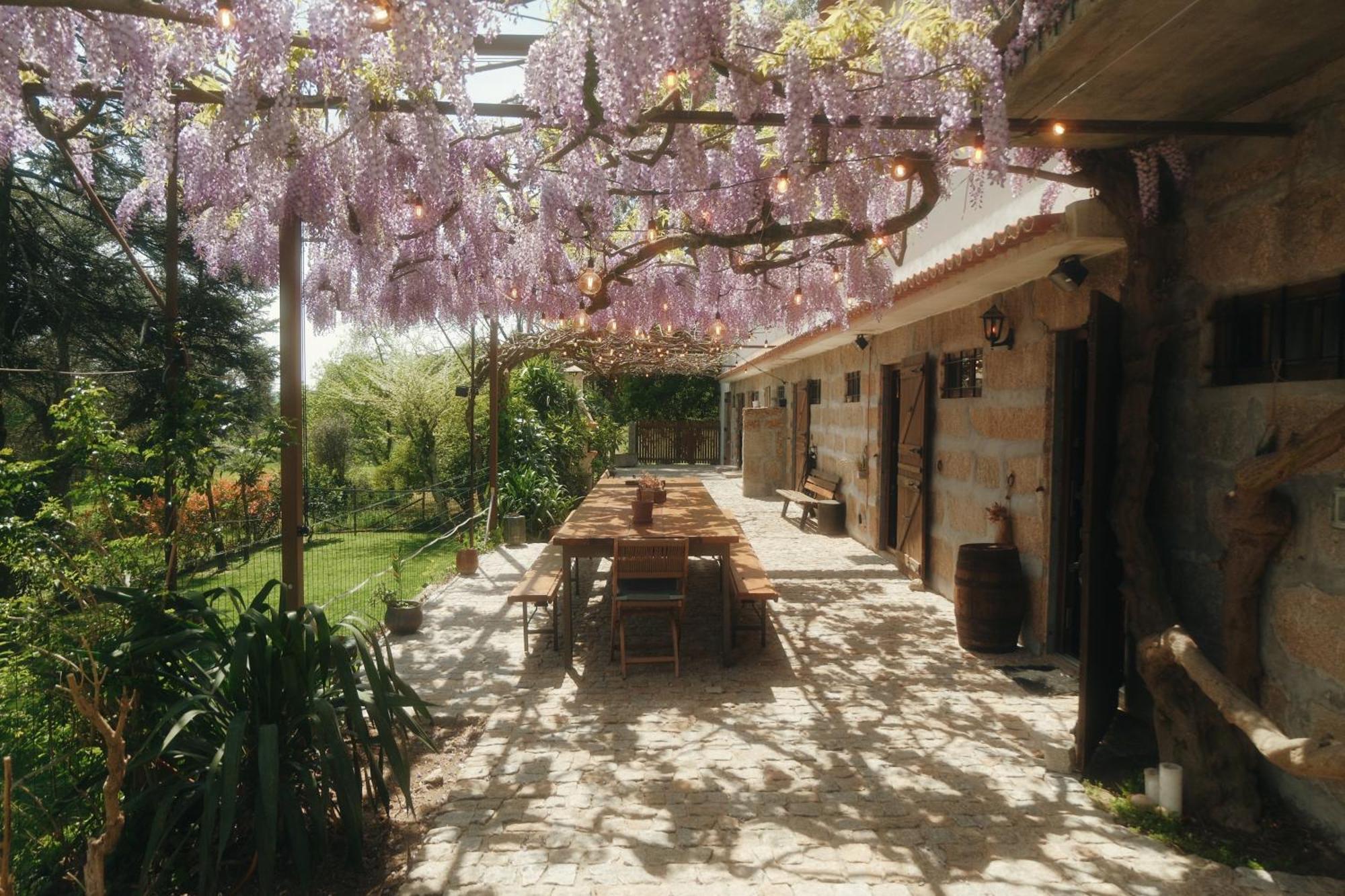 Casa da Alvarinha Isolada rodeada de Natureza Paredes (Porto) Exterior foto