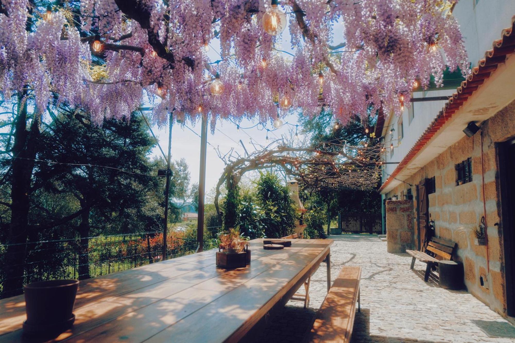 Casa da Alvarinha Isolada rodeada de Natureza Paredes (Porto) Exterior foto